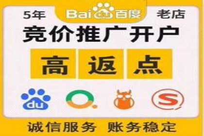 精准营销的利器：sem百度竞价的五大成功案例